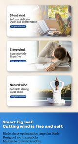 Portable Solar Floor Fan